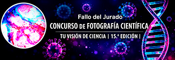 Imagen noticia 'Fallo del jurado de la 15ª edición del concurso de fotografía científica “Tu visión de la Ciencia”'