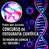Fallo del jurado de la 15ª edición del concurso de fotografía científica “Tu visión de la Ciencia”