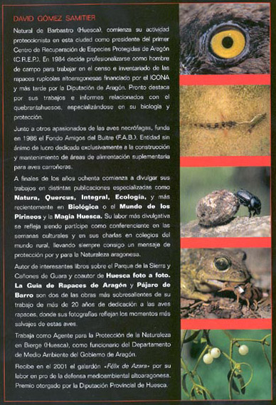 Imagen 7